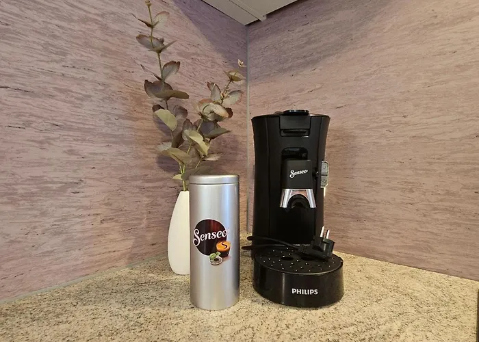 公寓 Am Storchenturm Im Hellgrevenhof 艾森纳赫